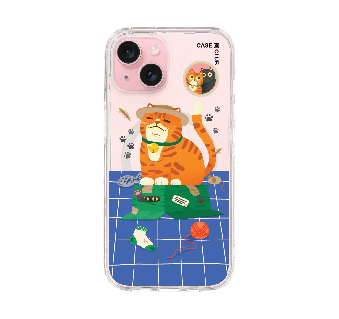 orange cat on the box